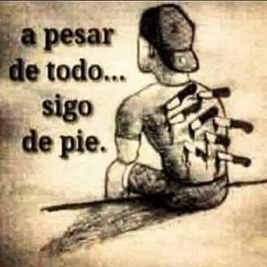 Meet your Posher, Chamba